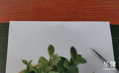 鄰居裝修糾紛處理流程，鄰居裝修糾紛處理全攻略，流程與 行業(yè)新聞 第4張