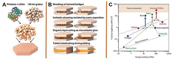 納米材料加固技術(shù)原理，納米材料加固技術(shù)原理，微觀機(jī)制與宏觀應(yīng)用的深度解析 行業(yè)新聞 第4張