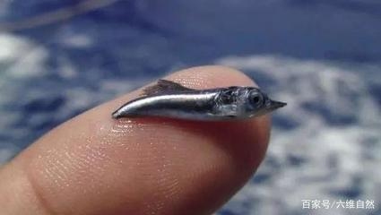 鋼板體積計(jì)算的實(shí)際應(yīng)用案例，鋼板體積計(jì)算，從理論到實(shí)際應(yīng)用案例