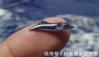 鋼板體積計(jì)算的實(shí)際應(yīng)用案例，鋼板體積計(jì)算，從理論到實(shí)際應(yīng)用案例 行業(yè)新聞 第5張