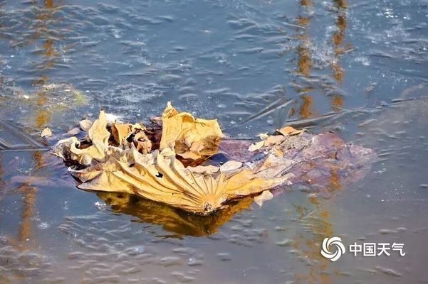 低溫環(huán)境砌體工程施工技巧，低溫環(huán)境下砌體工程施工技巧全解析 行業(yè)新聞 第1張