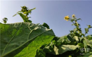 集體土地非農(nóng)建設(shè)的法律后果，集體土地非農(nóng)建設(shè) 行業(yè)新聞 第1張