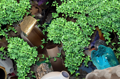 鋼柱加固材料的生物降解性研究，鋼柱加固材料生物降解性探究 行業(yè)新聞 第1張