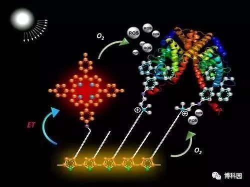 環(huán)氧樹脂兩布的耐腐蝕性能，環(huán)氧樹脂兩布耐腐蝕性能 行業(yè)新聞 第2張