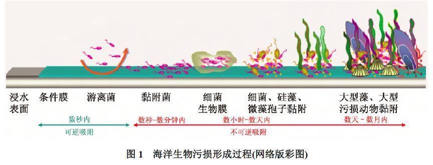 海洋環(huán)境下鋼板防腐技術(shù)，海洋環(huán)境下鋼板防腐技術(shù) 行業(yè)新聞 第4張