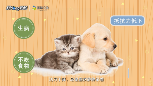 甲醛超標(biāo)如何自我檢測，甲醛超標(biāo)？5個簡單方法教你如何在家自我檢測 行業(yè)新聞 第6張