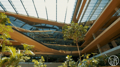 booking官網(wǎng)是哪國的 行業(yè)新聞 第5張