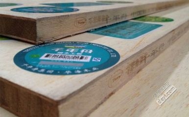 環(huán)保結(jié)構(gòu)膠粘劑選購指南 行業(yè)新聞 第5張 環(huán)保結(jié)構(gòu)膠粘劑選購指南 行業(yè)新聞 第5張