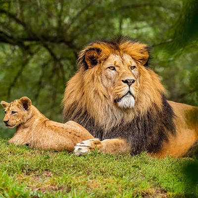 國內酒店設計公司前十名排名 行業(yè)新聞 第5張 國內酒店設計公司前十名排名 行業(yè)新聞 第5張