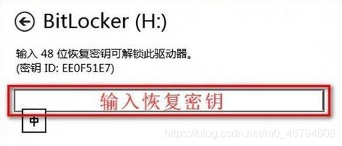 BitLocker適用操作系統(tǒng)范圍 行業(yè)新聞 第3張