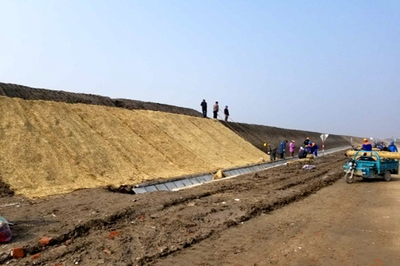 地區(qū)差異對(duì)加固成本的影響分析 行業(yè)新聞 第2張