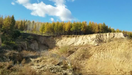 加固施工對生態(tài)環(huán)境的具體破壞有哪些？ 行業(yè)新聞 第5張