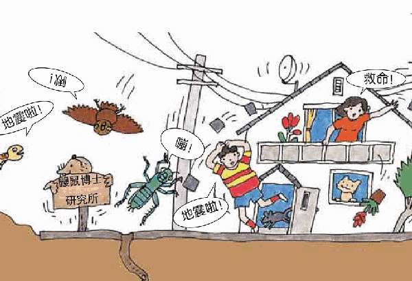地震多發(fā)區(qū)農(nóng)居安全措施 行業(yè)新聞 第4張