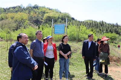 加固施工后期監(jiān)測(cè)技術(shù)應(yīng)用 行業(yè)新聞 第5張