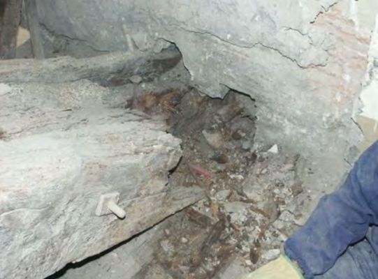 建筑加固后的病蟲(chóng)害防治 行業(yè)新聞 第2張