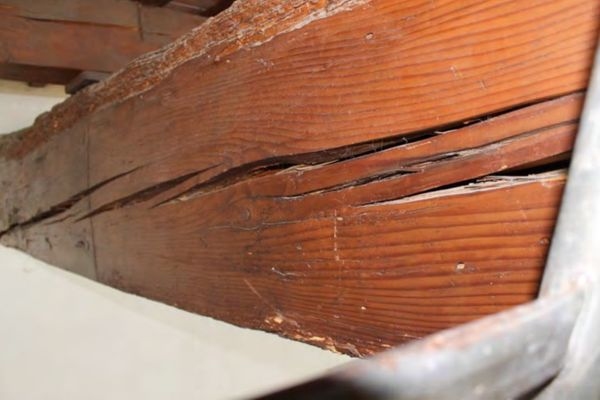 建筑加固后的病蟲(chóng)害防治 行業(yè)新聞 第5張