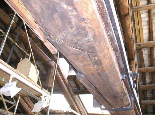 建筑加固后的病蟲(chóng)害防治 行業(yè)新聞 第4張