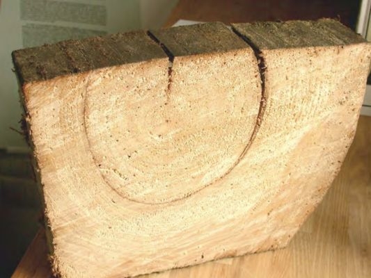 建筑加固后的病蟲(chóng)害防治 行業(yè)新聞 第6張