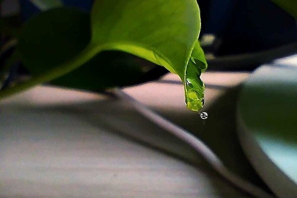 50間客房酒店投資 行業(yè)新聞 第4張