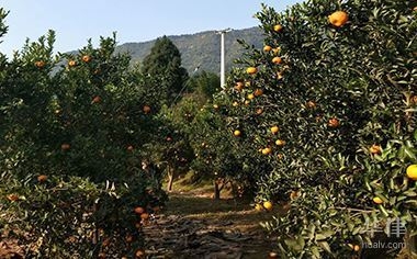 建筑加固施工安全管理規(guī)范 行業(yè)新聞 第2張 建筑加固施工安全管理規(guī)范 行業(yè)新聞 第2張