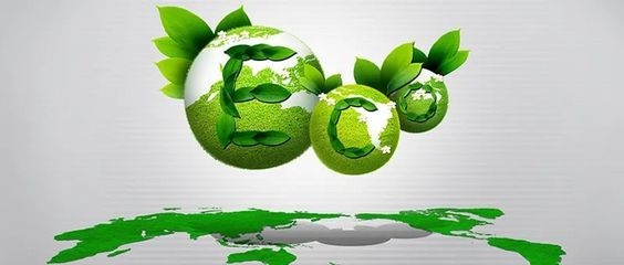 關(guān)于商場(chǎng)改造的通知 行業(yè)新聞 第4張