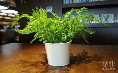 建筑設計圖紙版權查詢流程 行業(yè)新聞 第2張