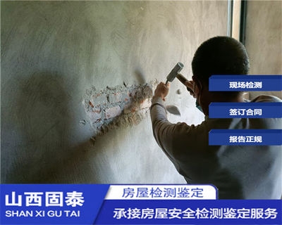 抗震加固技術(shù)的國際比較，加固技術(shù)的國際比較研究 行業(yè)新聞 第4張