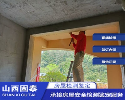 抗震加固技術(shù)的國(guó)際比較，加固技術(shù)的國(guó)際比較研究