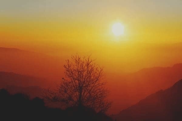 民宿設(shè)計(jì)全套方案模板下載，設(shè)計(jì)全套方案模板下載 行業(yè)新聞 第1張