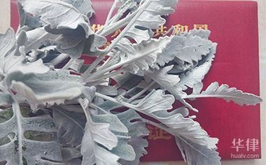 改商業(yè)用地一年，用地租賃期限調(diào)整與 行業(yè)新聞 第2張