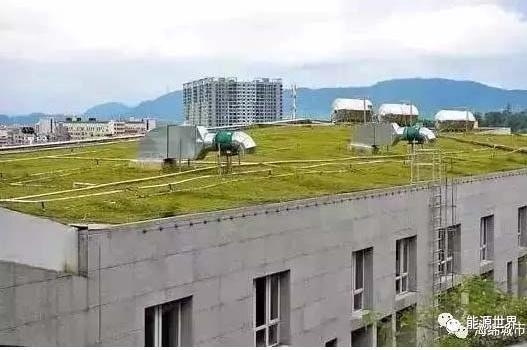 綠色建筑認證標準查詢，幾種不同風格的標題供你參考，，精準速查！綠色建筑認證標準全解析，一鍵解鎖，綠色建筑認證標準查詢指南，權(quán)威聚焦，綠色建筑認證標準查詢通道開啟 行業(yè)新聞 第2張