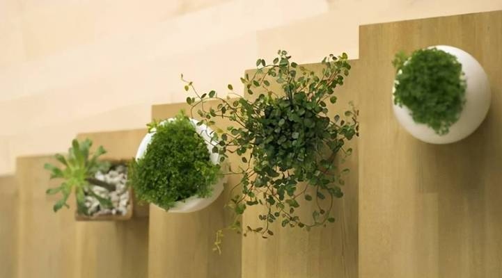 綠色建筑材料在工業(yè)建筑中的使用，幾種不同風(fēng)格的標(biāo)題供你參考，你可以根據(jù)具體需求進(jìn)行選擇，，綠色建材賦能工業(yè)建筑，開啟可持續(xù)發(fā)展新篇章，聚焦，綠色建筑材料于工業(yè)建筑領(lǐng)域的創(chuàng)新應(yīng)用，探秘綠色建筑材料在工業(yè)建筑中的多元運(yùn)用之道 行業(yè)新聞 第1張