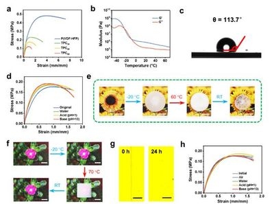 聚合物材料的環(huán)境適應(yīng)性，幾種不同風(fēng)格的標(biāo)題供你參考，你可以根據(jù)具體需求進(jìn)行選擇，，深度剖析，聚合物材料的環(huán)境適應(yīng)性奧秘，聚焦！聚合物材料的環(huán)境適應(yīng)性探究，解鎖聚合物材料的環(huán)境適應(yīng)性密碼 行業(yè)新聞 第5張