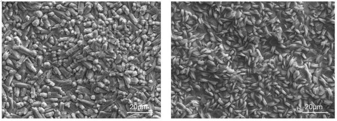 磷化處理提高涂層附著力原理，磷化處理，解鎖涂層附著力提升 行業(yè)新聞 第5張