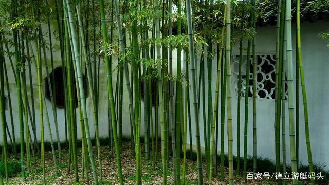 建筑模板材料環(huán)保性能比較，供你參考，你可以根據(jù)具體需求進(jìn)行選擇，，聚焦建筑模板材料，環(huán)保性能大比拼，深度剖析，建筑模板材料的環(huán)保性能差異，探尋建筑模板材料環(huán)保性能 行業(yè)新聞 第3張