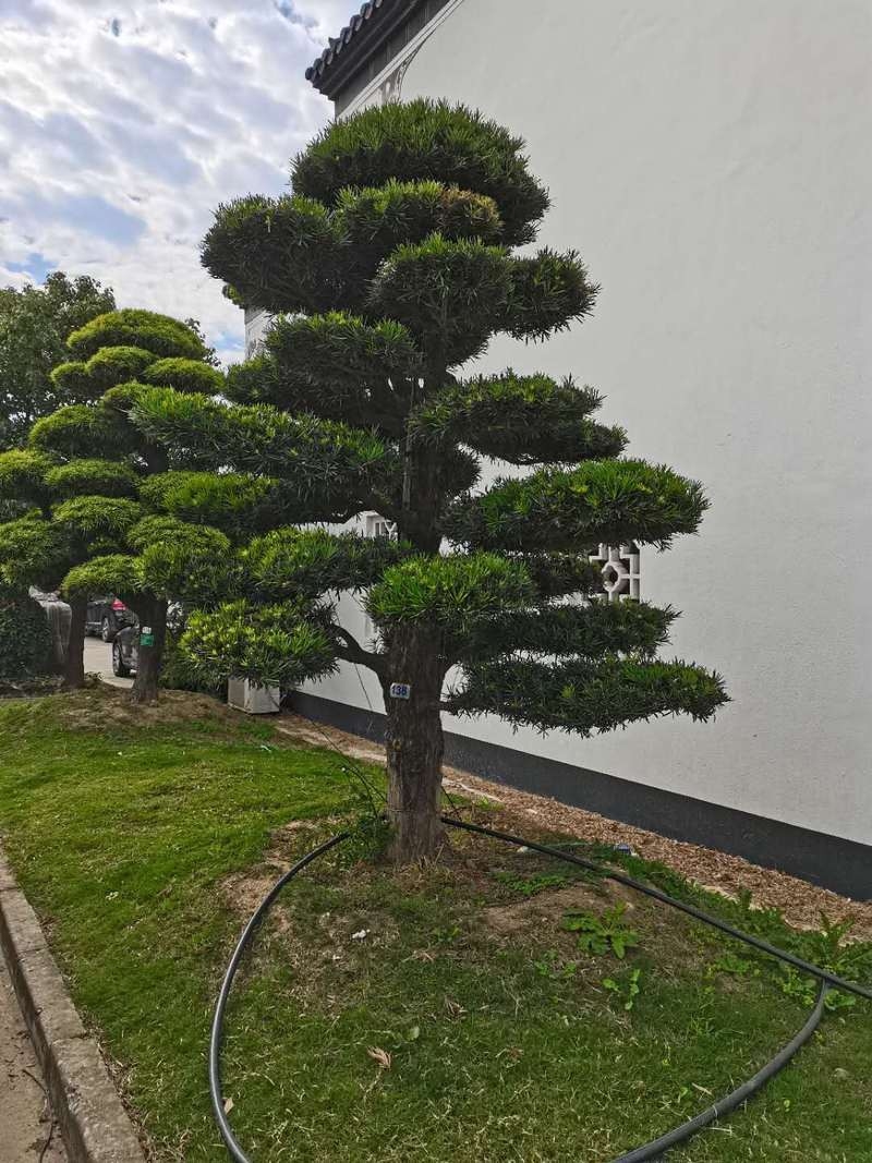 未央加固設(shè)計(jì)公司（未央加固設(shè)計(jì)公司哪家口碑最好？） 行業(yè)新聞 第4張