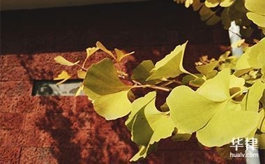 靈山鋼結(jié)構(gòu)公司是勞務(wù)派遣嗎（靈山鋼結(jié)構(gòu)公司是勞務(wù)派遣嗎青島靈山鋼構(gòu)有限公司是勞務(wù)派遣嗎）