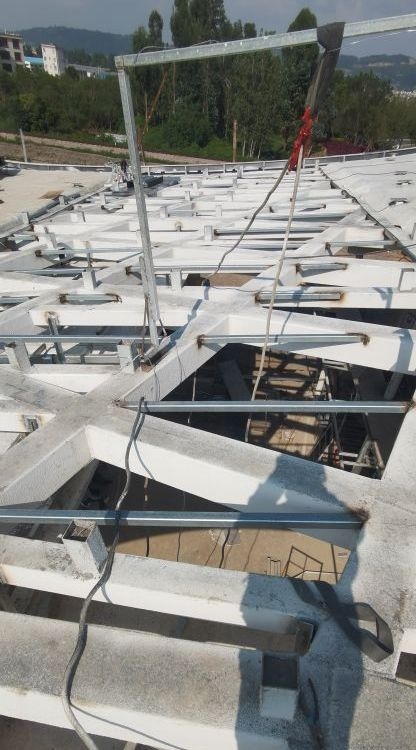 景觀異形鋼結(jié)構(gòu)加工價格及圖片（景觀異形鋼結(jié)構(gòu)加工） 行業(yè)新聞 第28張