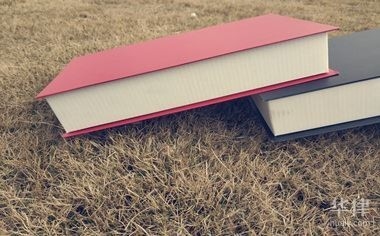 莘縣鋼結構公司待遇與福利介紹（莘縣鋼結構公司哪個待遇最好？）