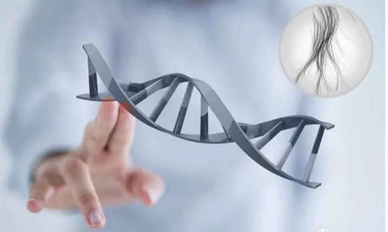 如何判斷親子鑒定機構是否正規(guī)？（親子鑒定機構怎么判斷是否正規(guī)親子鑒定機構是否正規(guī)）