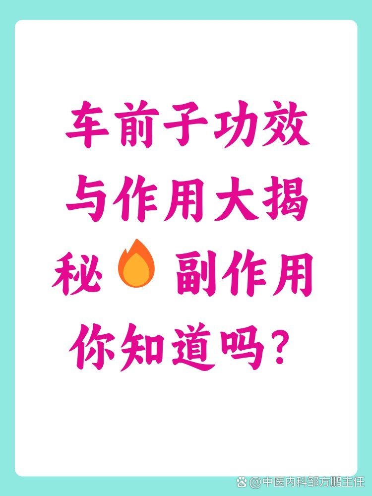 車前子有哪些副作用？（車前子使用禁忌速查表） 行業(yè)新聞 第2張