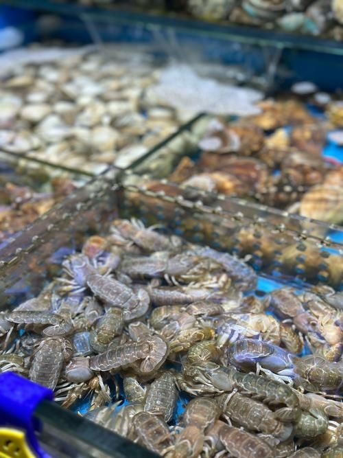 武漢觀賞魚批發(fā)市場 行業(yè)新聞 第2張 武漢觀賞魚批發(fā)市場 行業(yè)新聞 第2張