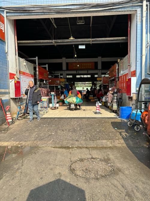 武漢觀賞魚批發(fā)市場 行業(yè)新聞 第5張 武漢觀賞魚批發(fā)市場 行業(yè)新聞 第5張