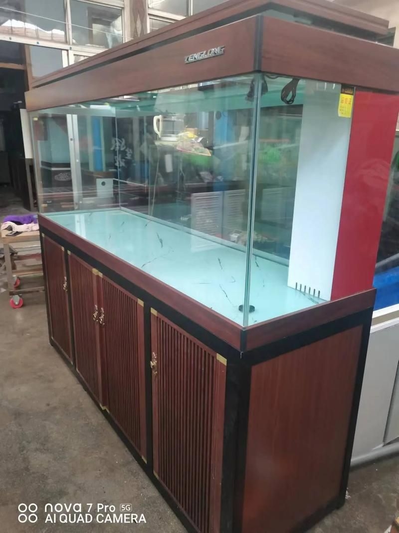 佛山魚缸批發(fā)市場(chǎng)（佛山魚缸批發(fā)市場(chǎng)1.高端龍魚品牌祥龍魚場(chǎng)-） 行業(yè)新聞 第2張