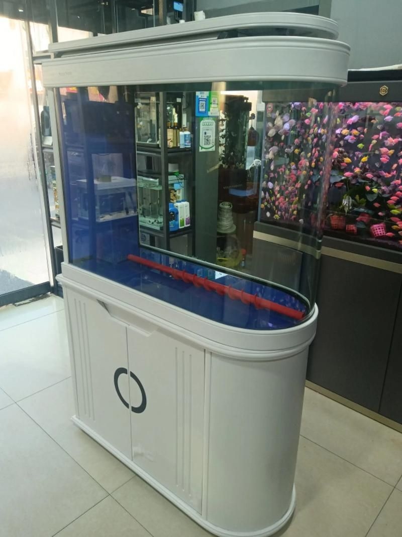 佛山魚缸批發(fā)市場(chǎng)（佛山魚缸批發(fā)市場(chǎng)1.高端龍魚品牌祥龍魚場(chǎng)-） 行業(yè)新聞 第5張