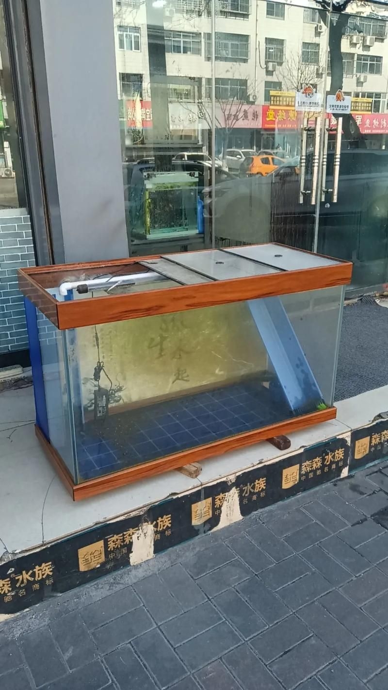 佛山魚缸批發(fā)市場(chǎng)（佛山魚缸批發(fā)市場(chǎng)1.高端龍魚品牌祥龍魚場(chǎng)-） 行業(yè)新聞 第8張