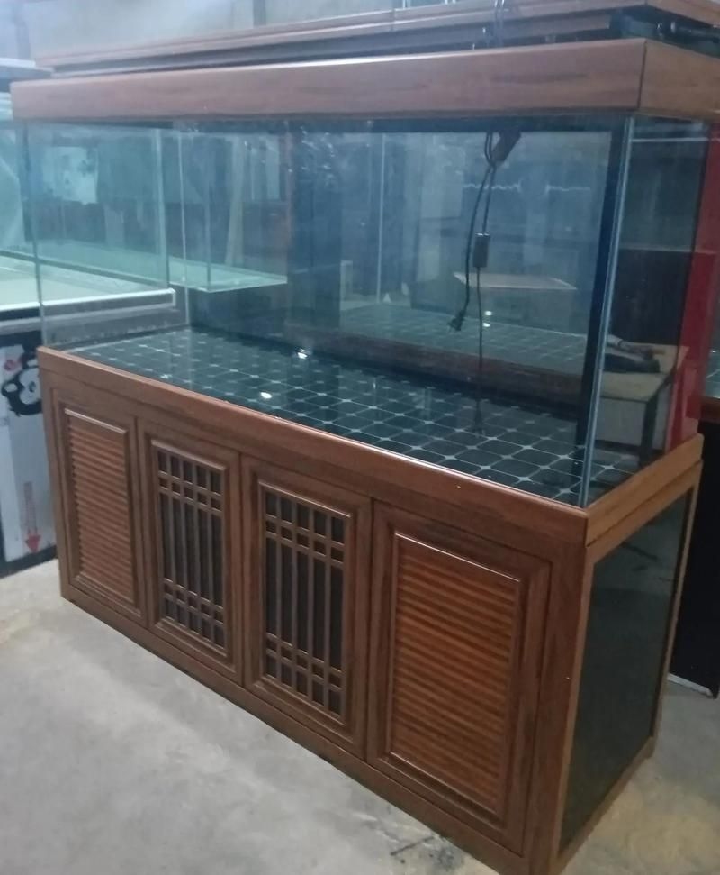 佛山魚缸批發(fā)市場(chǎng)（佛山魚缸批發(fā)市場(chǎng)1.高端龍魚品牌祥龍魚場(chǎng)-） 行業(yè)新聞 第12張