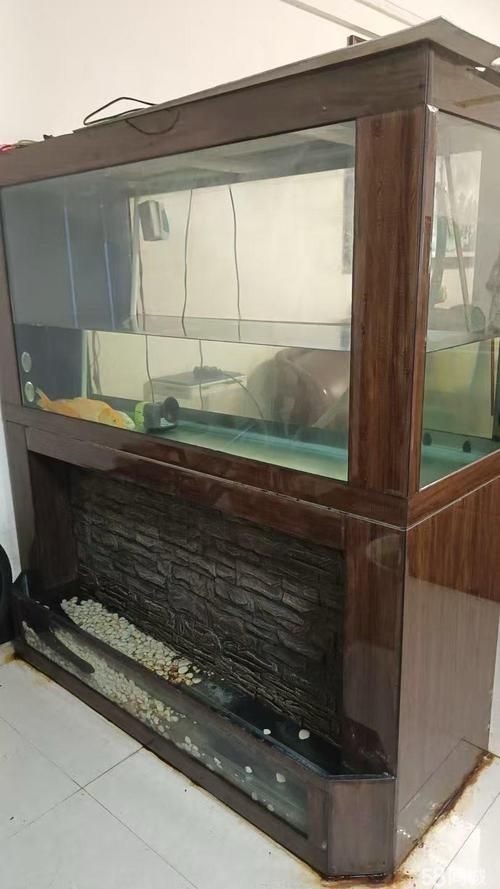 佛山魚缸批發(fā)市場(chǎng)（佛山魚缸批發(fā)市場(chǎng)1.高端龍魚品牌祥龍魚場(chǎng)-） 行業(yè)新聞 第14張