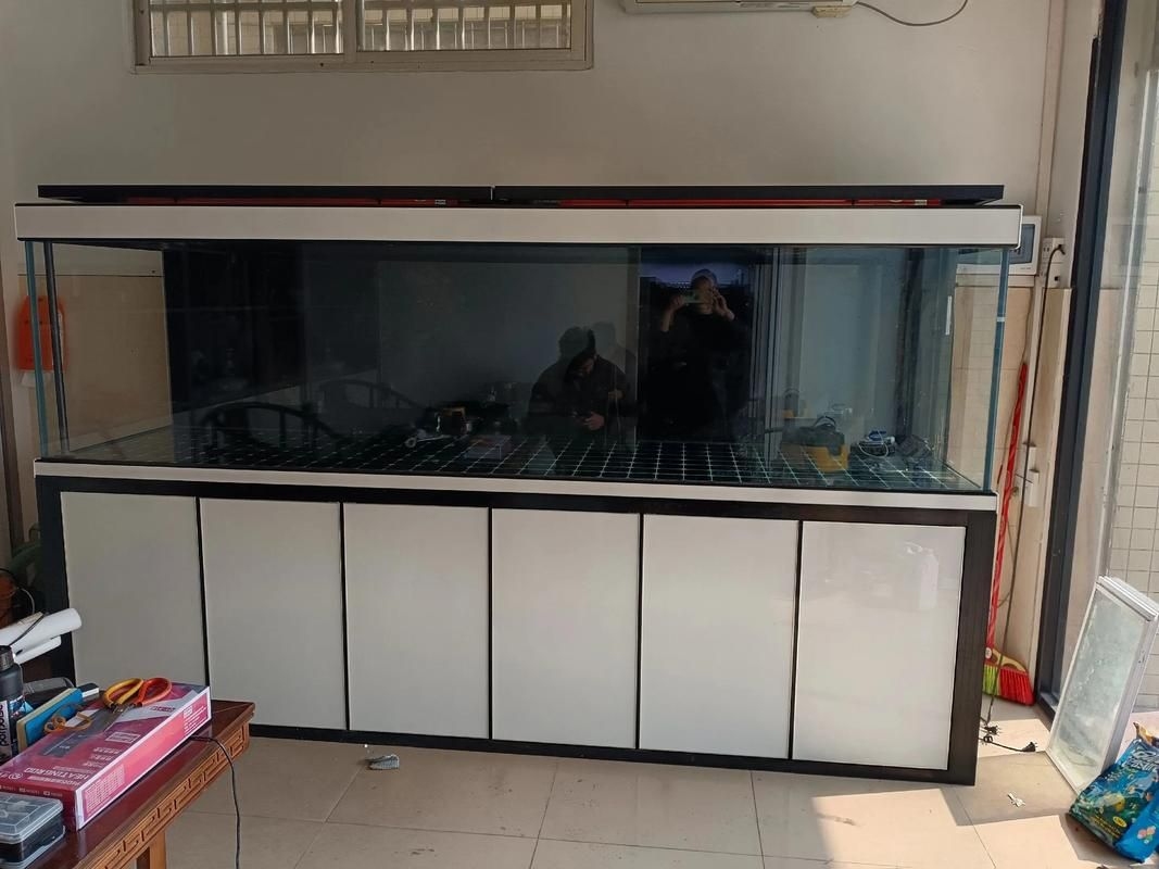 佛山魚缸批發(fā)市場(chǎng)（佛山魚缸批發(fā)市場(chǎng)1.高端龍魚品牌祥龍魚場(chǎng)-） 行業(yè)新聞 第18張