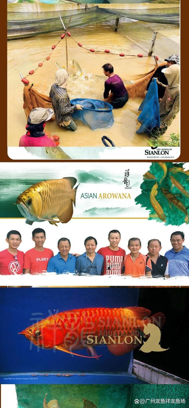 九江觀賞魚批發(fā)市場（九江觀賞魚批發(fā)市場和祥龍魚場有哪些品牌營銷策略） 行業(yè)新聞 第3張